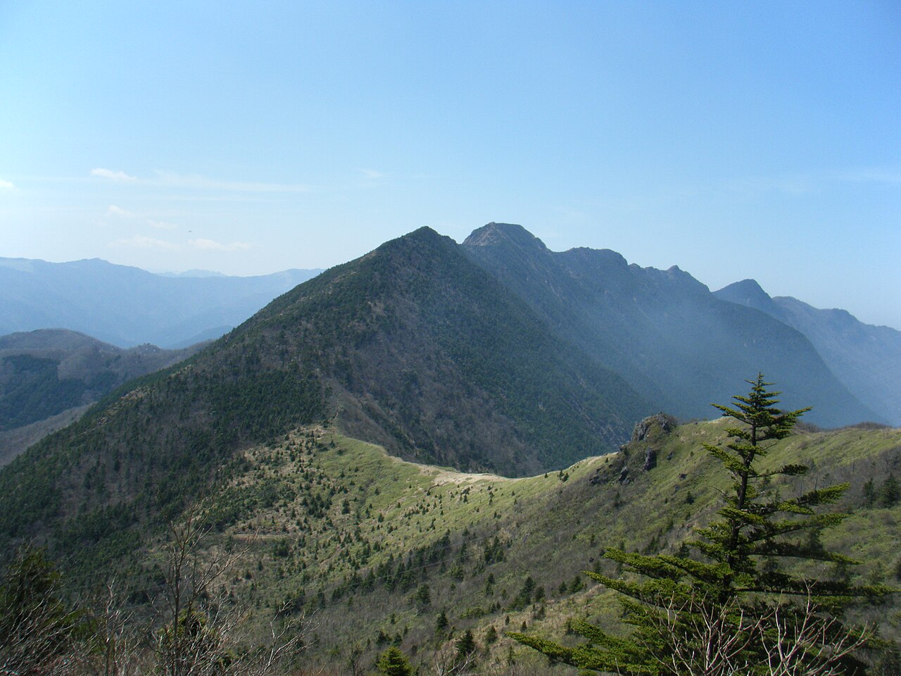 東赤石山（筏津路線）（1）