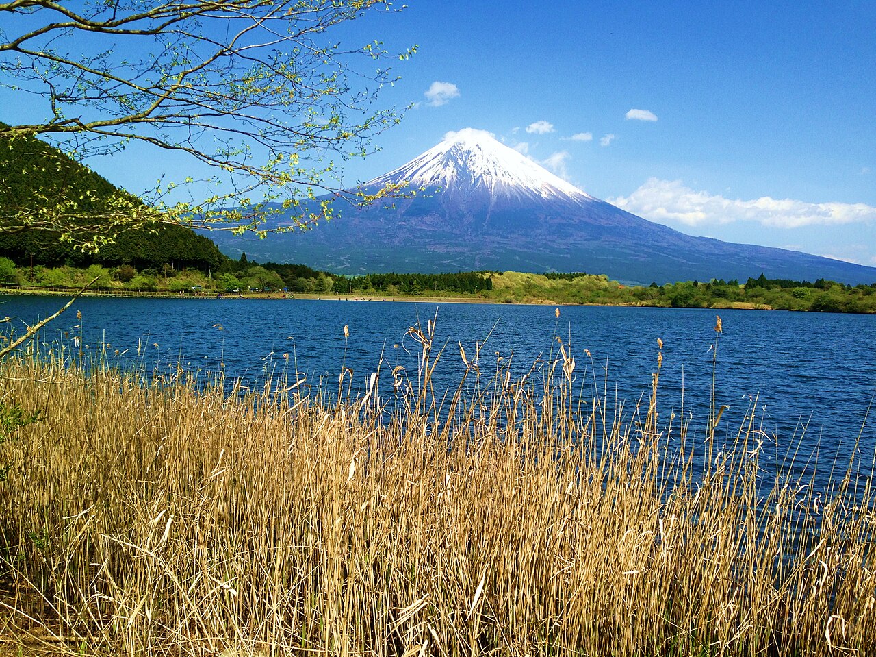 毛無山(天子山塊)(2)