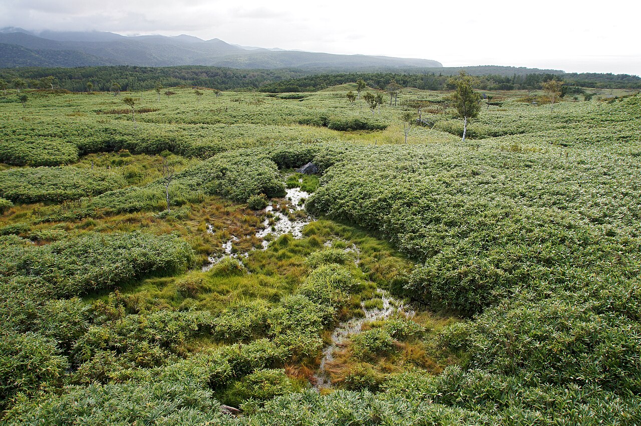 羅臼岳（知床連山最高峰）（4）
