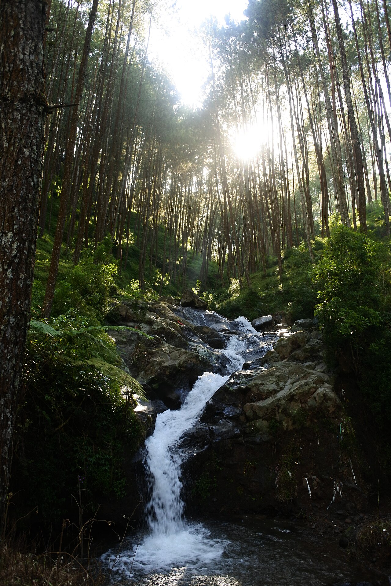 安東火山日出(1)