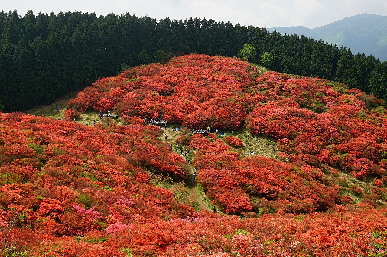 大和葛城山(1)