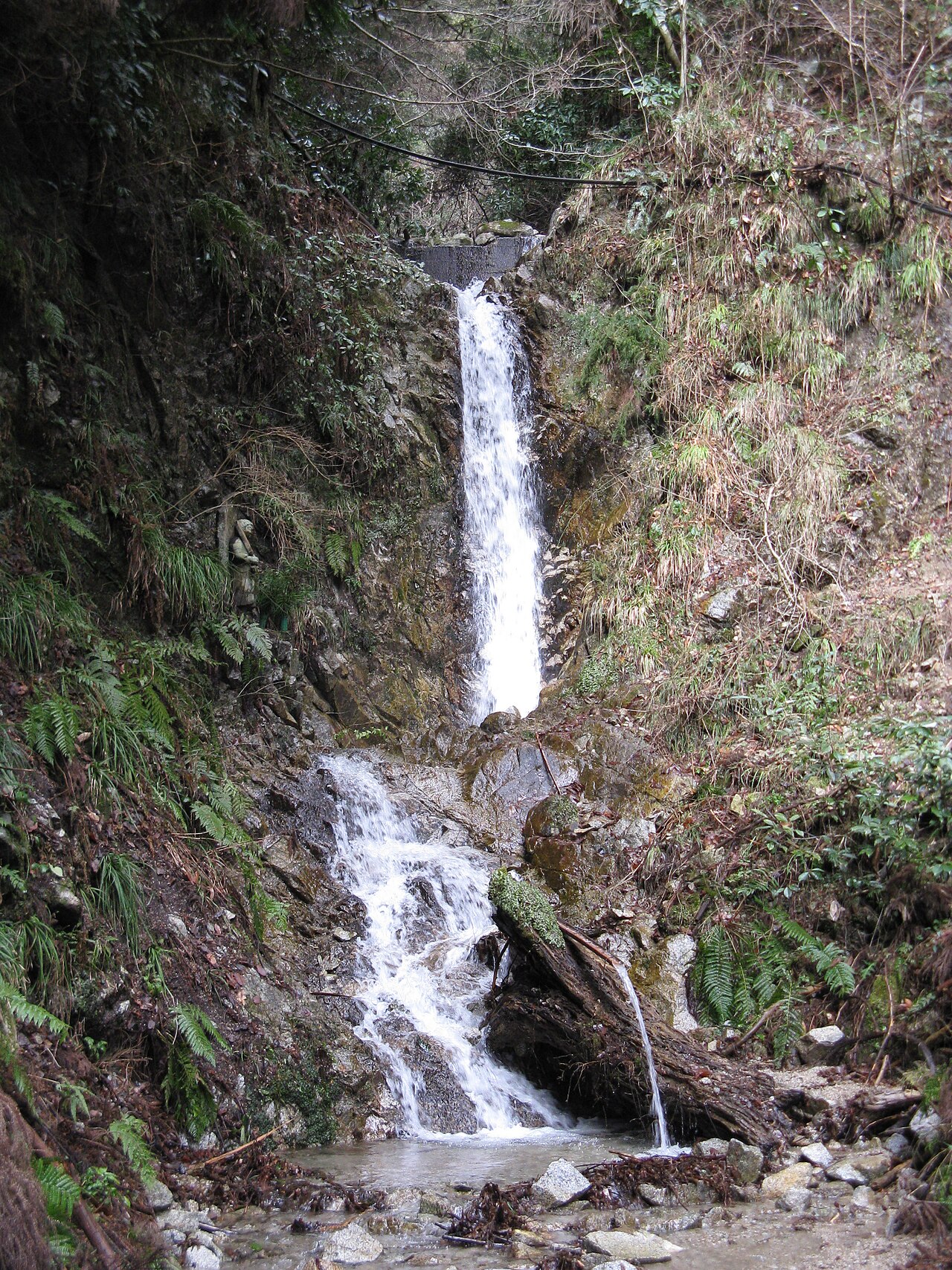金剛山(千早本道)(1)