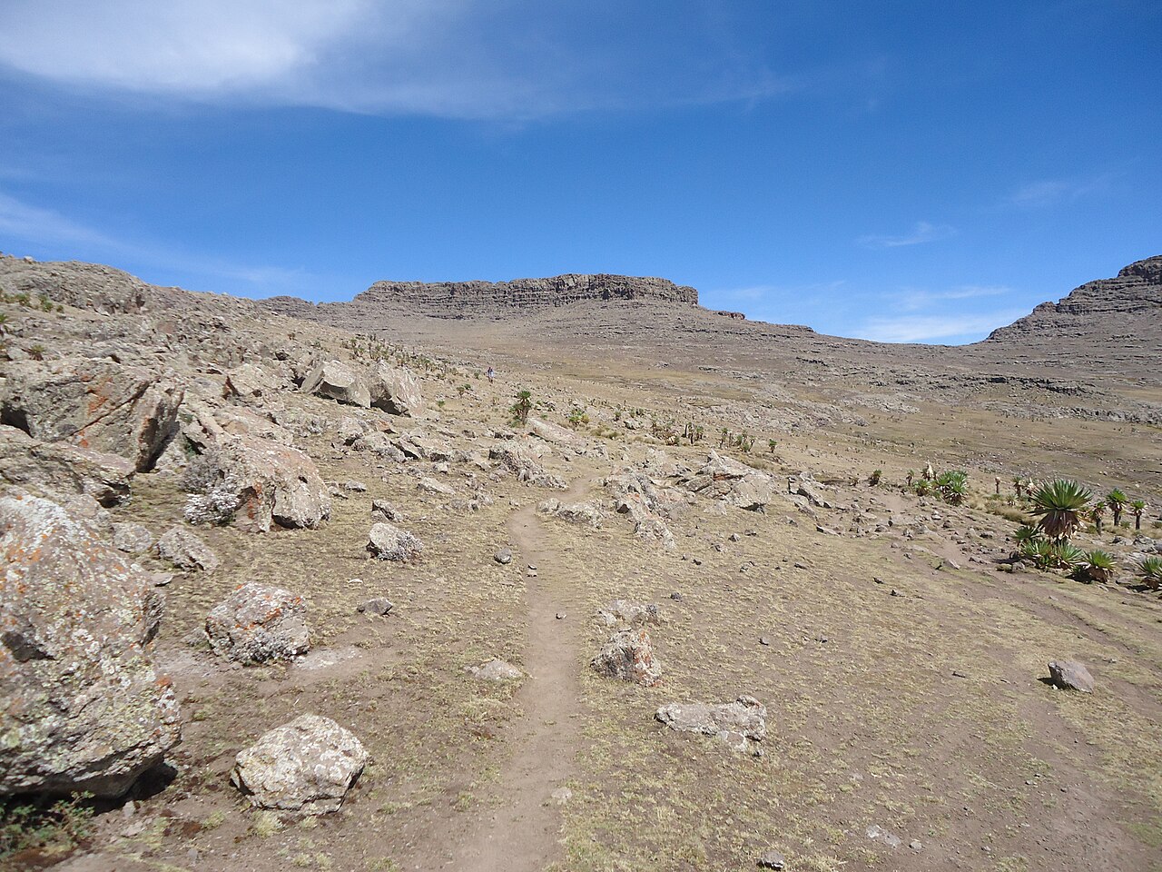 拉斯達山 4550m（衣索比亞最高峰・攻頂日）（1）