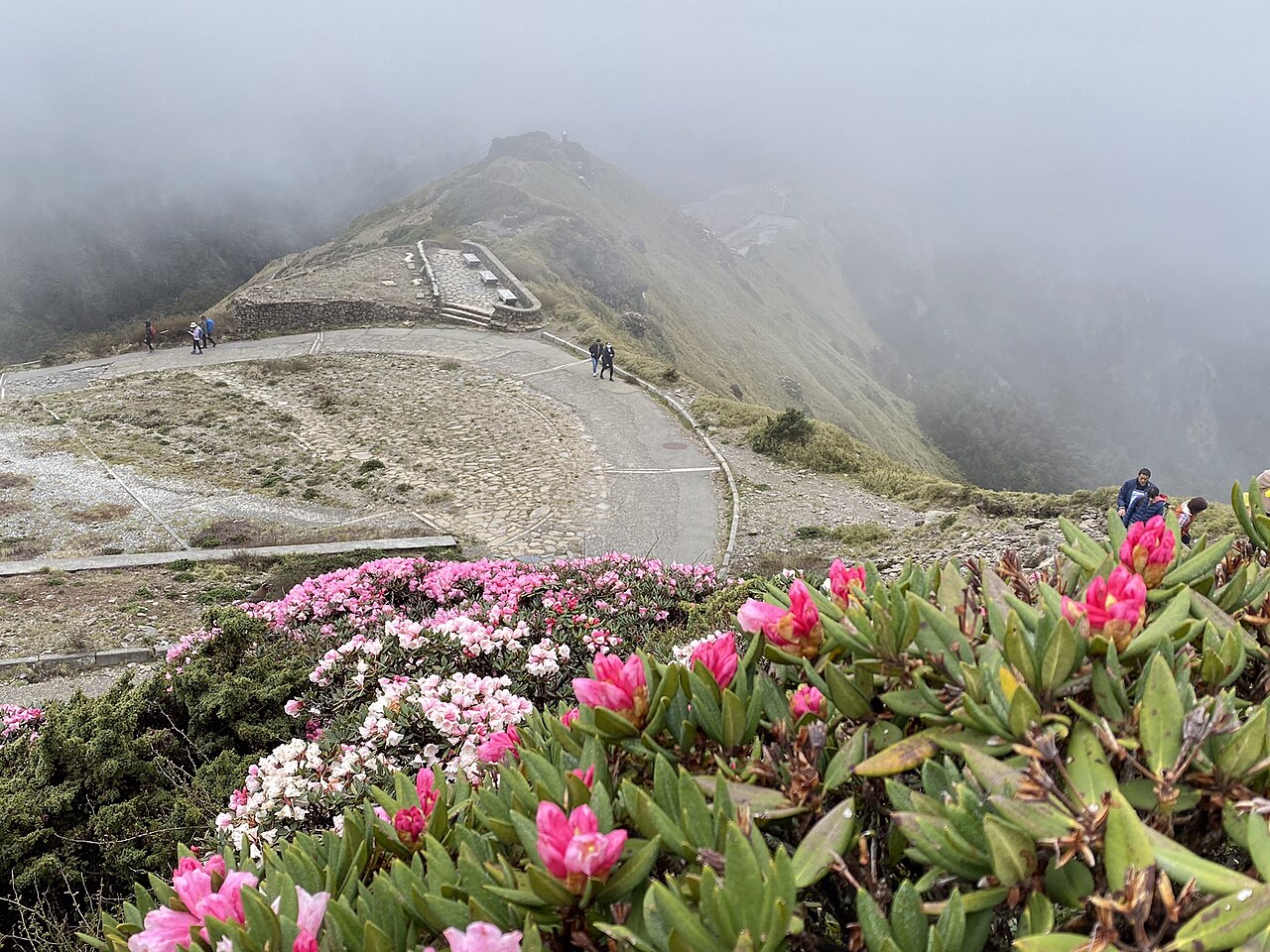 合歡群峰(主峰・東峰・石門山・合歡尖山)(3)